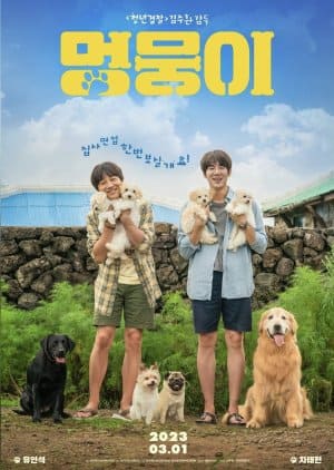 Nodrakor My Heart Puppy Subtitle Indonesia